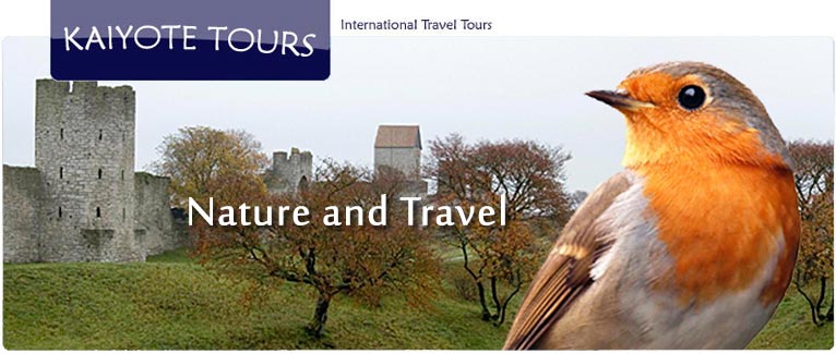 Travel Schedule Travel Schedule