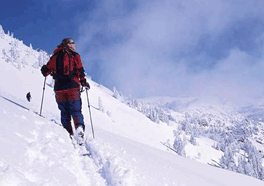 colorado snowshoeing