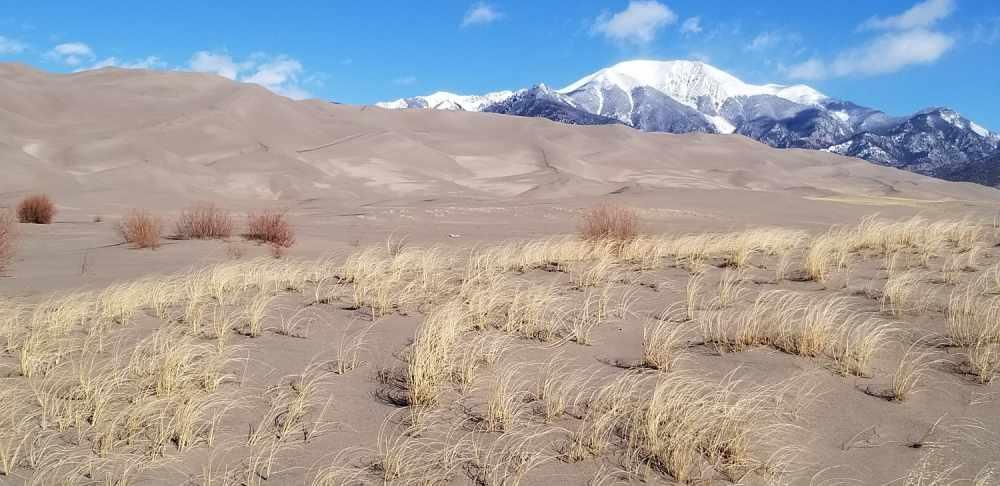 Great Sand Dunes National Park birding hiking tour guides