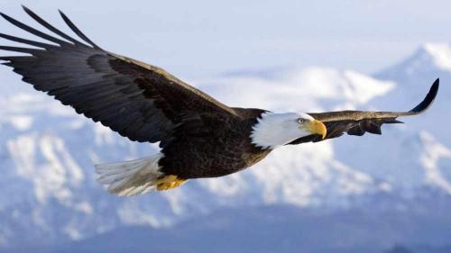 United States United States