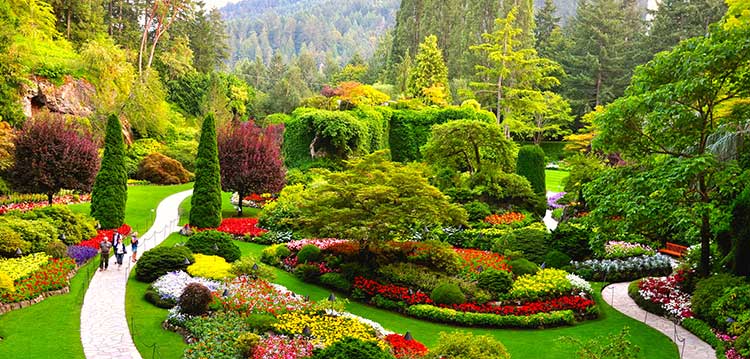 Birding Tour Victoria British Columbia Vancouver Island Birding Tour Victoria British Columbia Vancouver Island