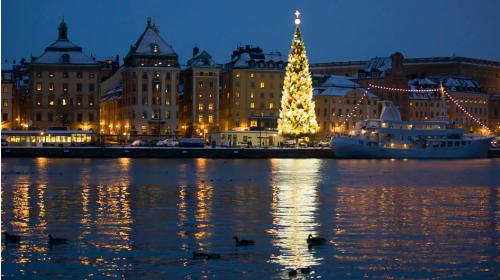Stockholm Christmas Birding Tours Stockholm Christmas Birding Tours