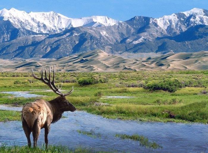 Great Sand Dunes National Park birding hiking tour guides