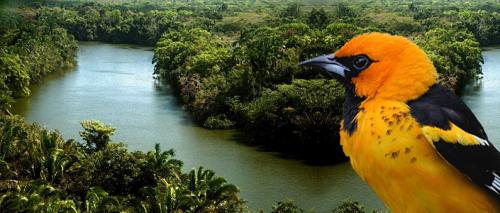 El Salvador Header El Salvador Header