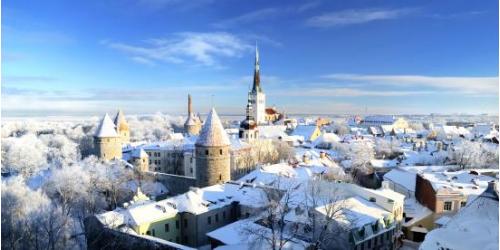 New Years Eve Tallinn Estonia Winter Birding Guided Tour New Years Eve Tallinn Estonia Winter Birding Guided Tour