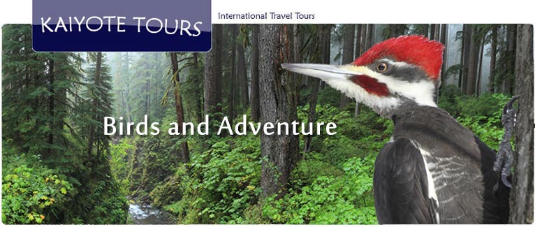 Guided Tours in Olympic National Park Guided Tours in Olympic National Park