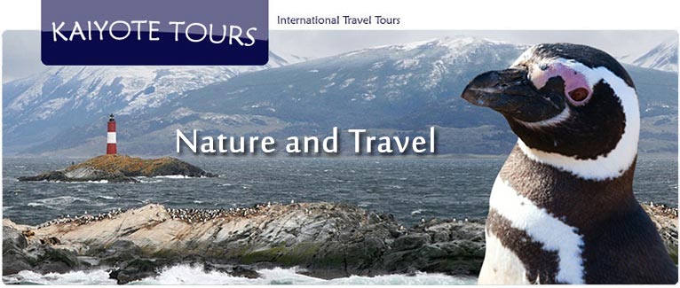 Southern Argentina birding Tour Tierra del Fuego