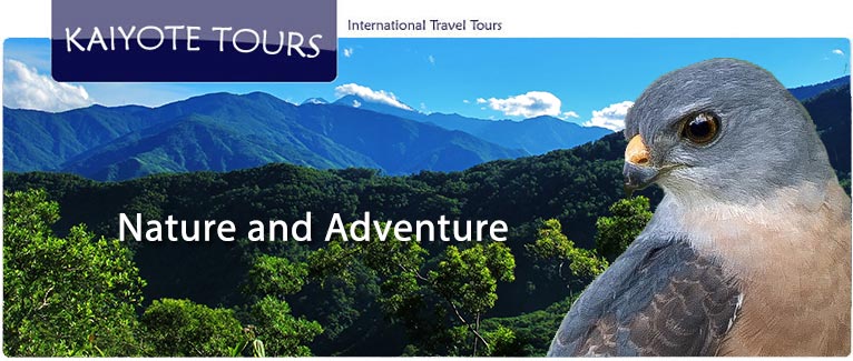 Asia Birding Tours Culture Trips Adventure Vacations