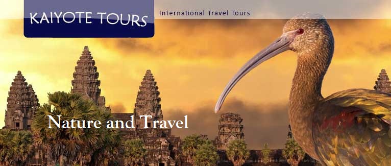 International Travel Schedule