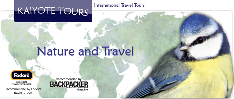Birding, Wildlife and Nature Tours Birding, Wildlife and Nature Tours