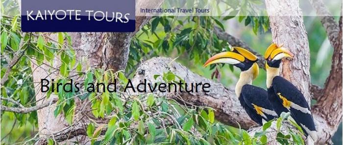 India Birding Tours Vegetarian Culture Journey