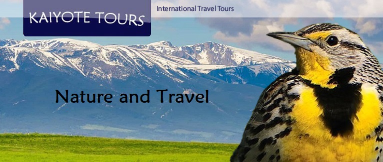 Birding Montana Guided Tours