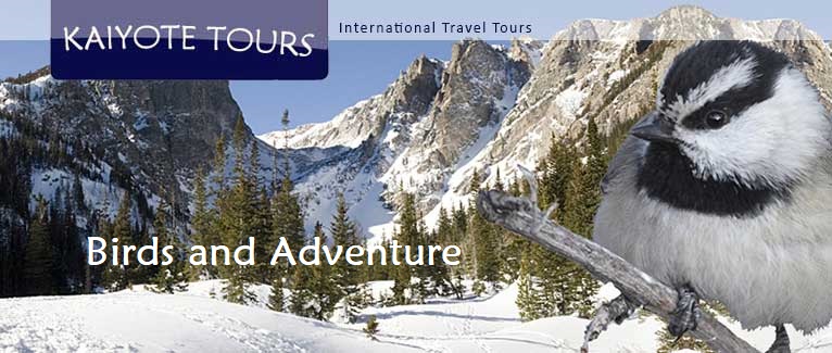 Rocky Mountain National Park Snowshoe Tours