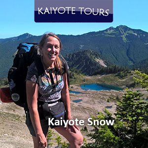 Kaiyote Tours Favicon