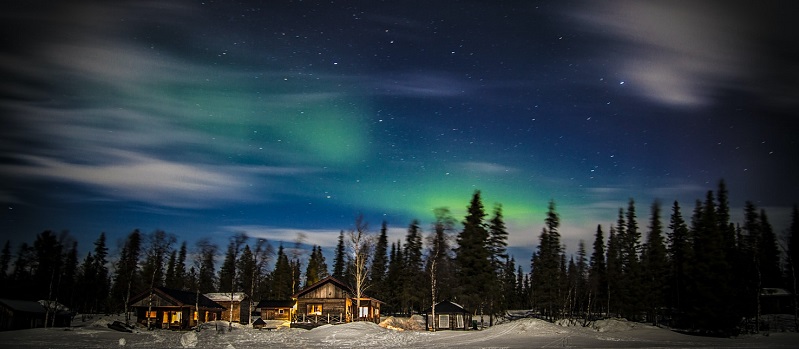 Stockholm Christmas Winter Birding Tours Stockholm Christmas Winter Birding Tours