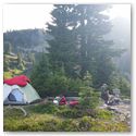 Backpacking Olympic National Park with Kaiyote Tours