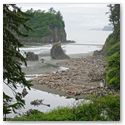 Backpacking Olympic National Park with Kaiyote Tours