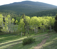 mill creek basin loop