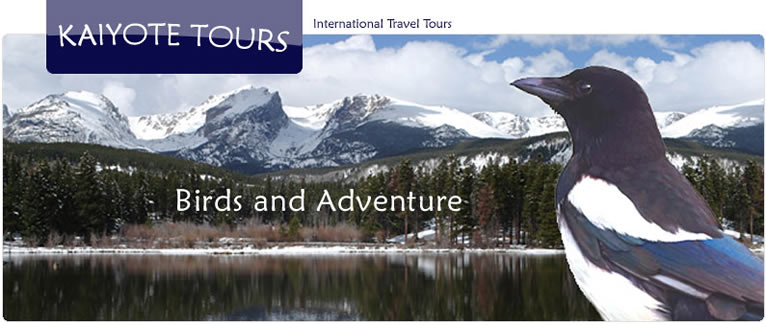 International Trip Reservations with Kaiyote Tours