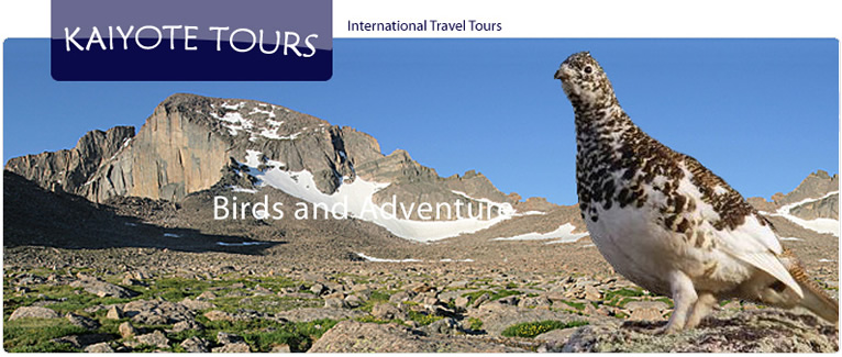 Birding and Exploring Colorado and Rocky Mountain National Park with Kaiyote Tours