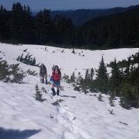 Olympic Backpacking