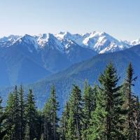 Backpacking in Olympic National Forest