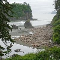 Backpacking in Olympic National Forest