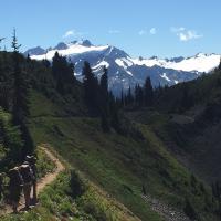 Backpacking in Olympic National Forest