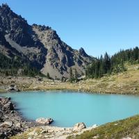 Backpacking in Olympic National Forest