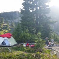Backpacking in Olympic National Forest