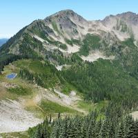 Backpacking in Olympic National Forest