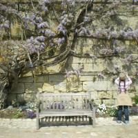 France - Paris, Brittany, Loire Valley