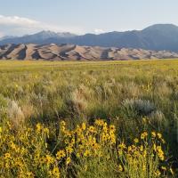 Great Sand Dunes