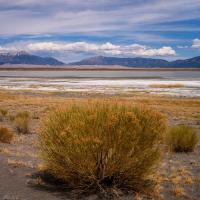 Great Sand Dunes
