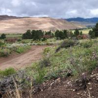 GreatSandDunes17a