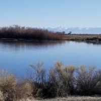Great Sand Dunes