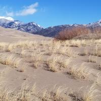 Great Sand Dunes