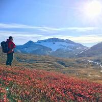 Greenland