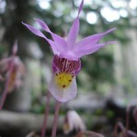 Colorado Nature Tours