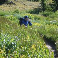 Colorado Nature Tours