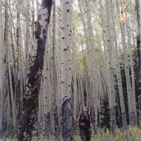 Colorado Nature Tours