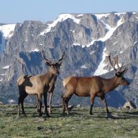 Colorado Nature Tours
