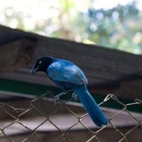 Nicaragua Cloud Forest