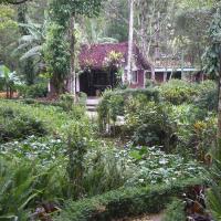 Nicaragua Cloud Forest