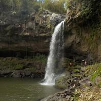 Nicaragua Cloud Forest