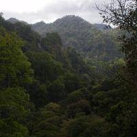 Nicaragua Cloud Forest