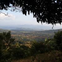 Nicaragua Could Forest