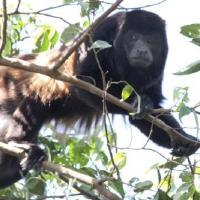 Nicaragua Cloud Forest