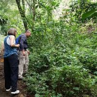 Nicaragua Cloud Forest
