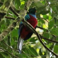 Nicaragua Cloud Forest